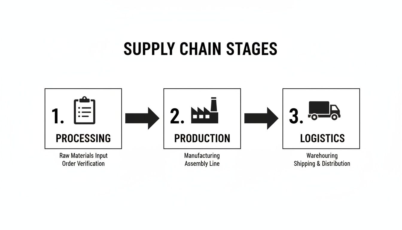 A diagram illustrating the three main stages of a supply chain: processing, production, and logistics, with descriptions for each.