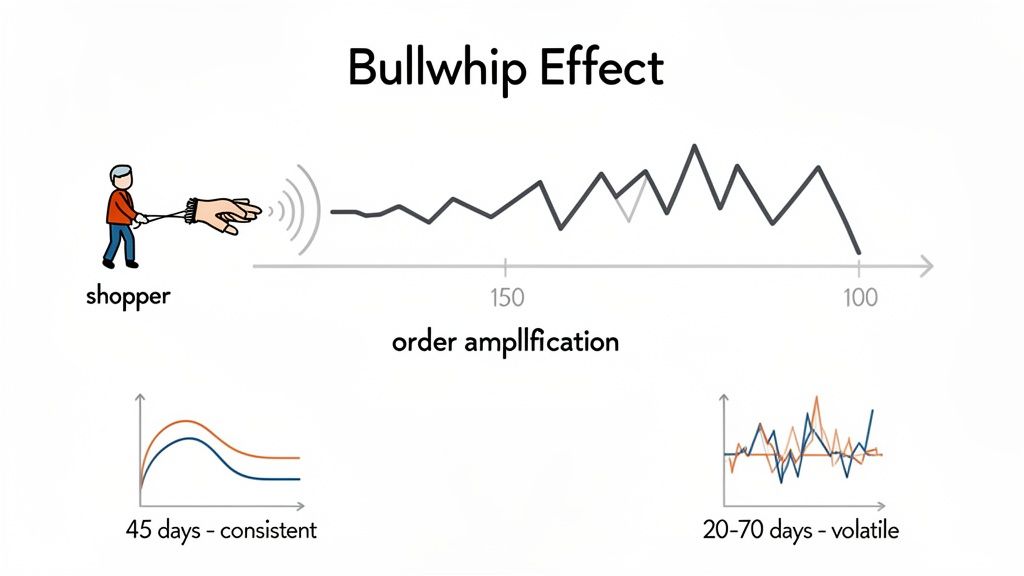 Illustration of the Bullwhip Effect, showing demand amplification along the supply chain and lead time volatility.