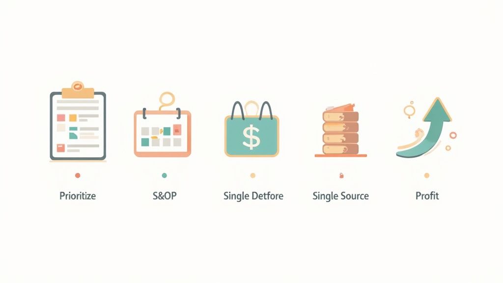 Five business icons and text labels including Prioritize, S&OP, Single Detfore, Single Source, and Profit.