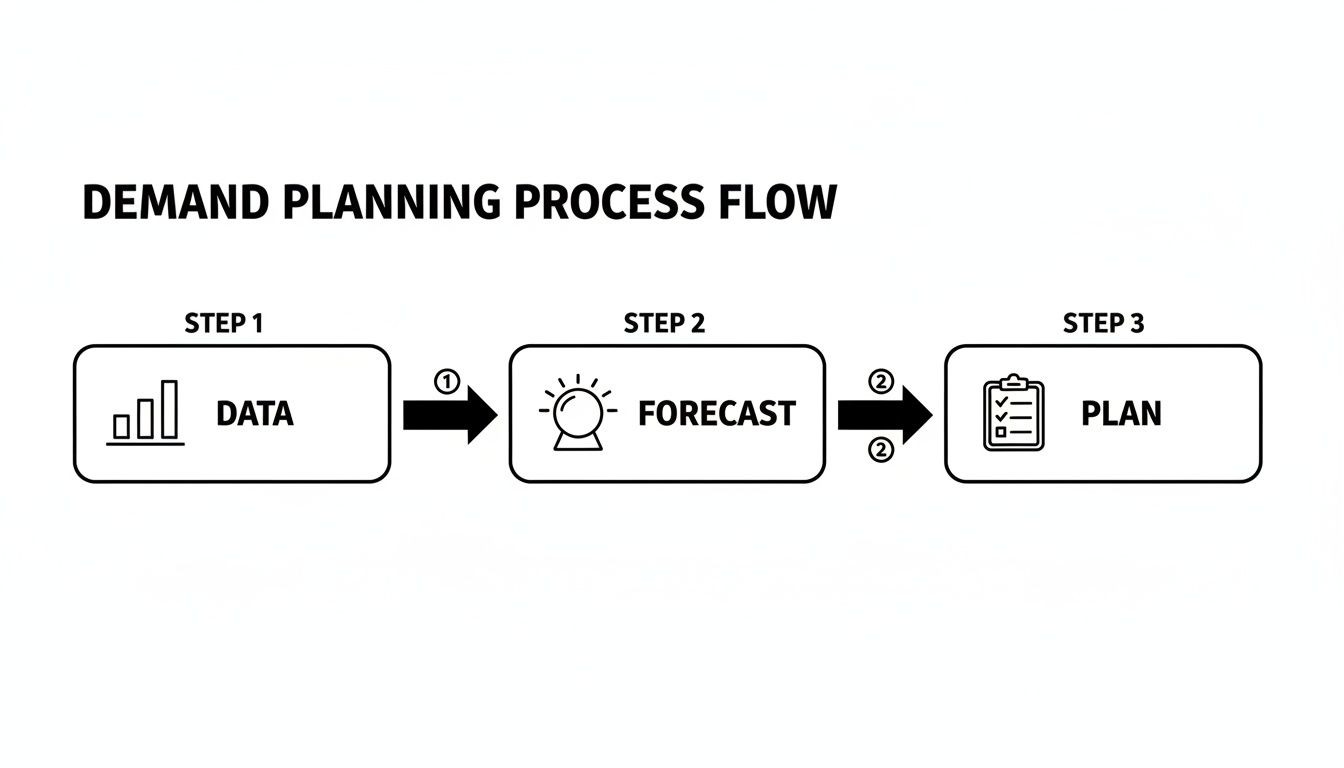 A three-step demand planning process flow diagram showing Data, Forecast, and Plan.